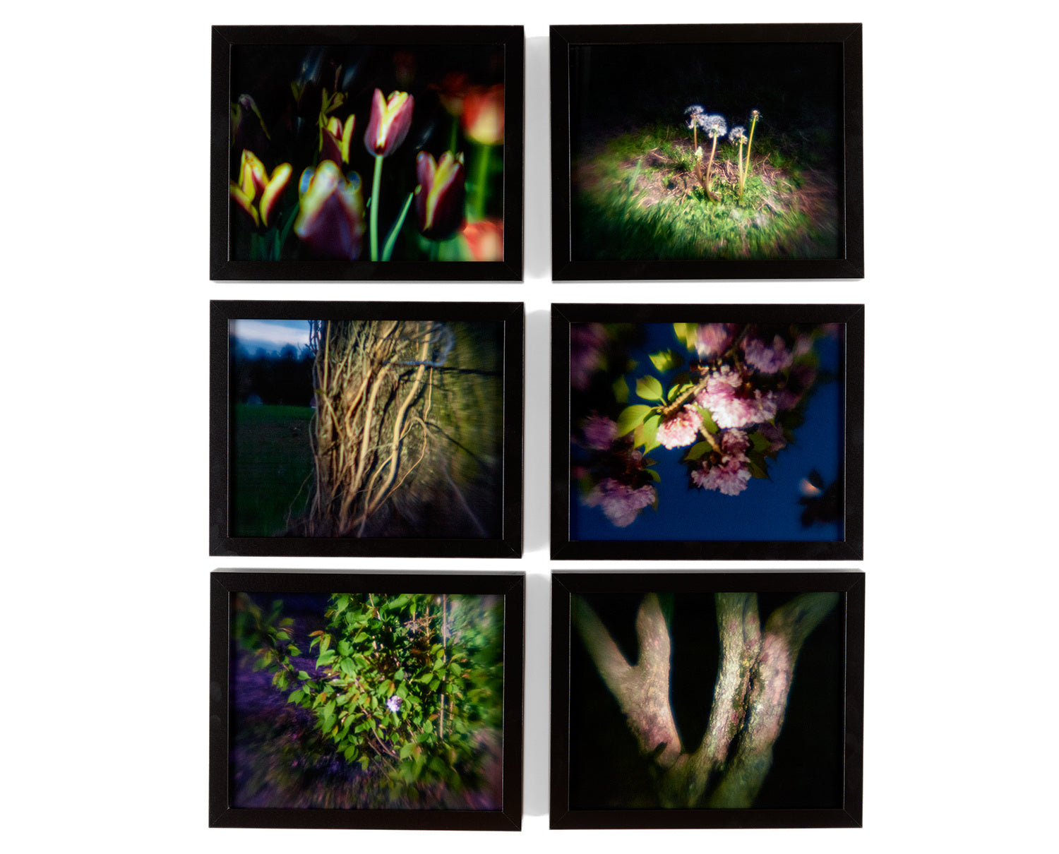 There Is A Light - Purple Photo Print