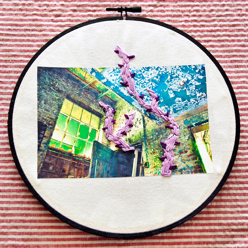Ghosts In Your Head - Purple Vines Photo Print (S/M/L sizes available)